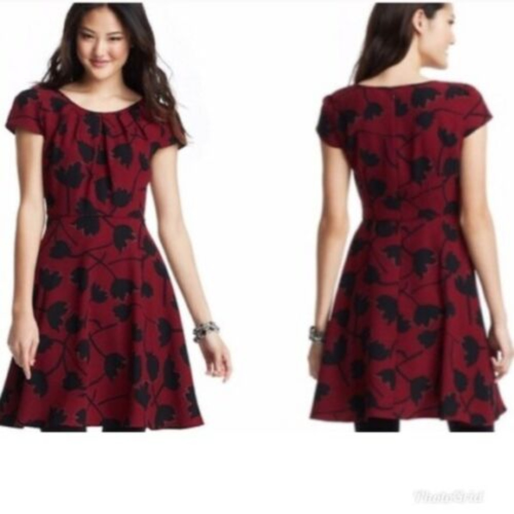 Ann Taylor LOFT XS 2 Burgundy Red Black dress